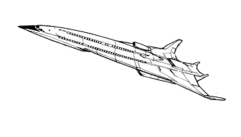 Tsuru VIP Aircraft  